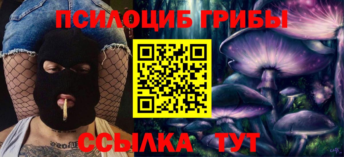 Карачаевск  Псилоцибиновые грибы GOLDEN TEACHER  что такое наркотик  Вход с VPN 