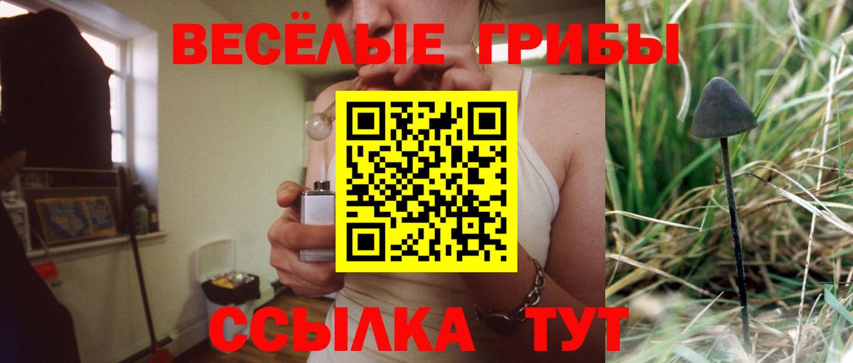 Галлюциногенные грибы ЛСД Карачаевск